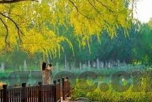 麻豆剧情app-麻豆剧情APP，一部连接现实与幻想的数字剧场