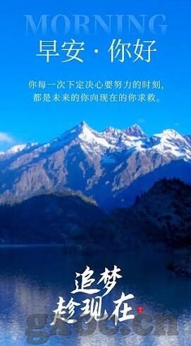 下载大象传媒视频app-探索大象传媒视频app，下载与体验的全面指南