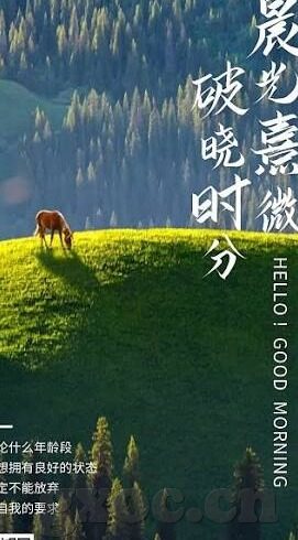 在线看国产一区二区三区-探索网络视频平台的多元化内容——国产一区、二区、三区的魅力