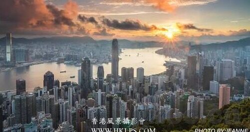 中文字幕下载网站-探索中文字幕下载网站的多元化与挑战